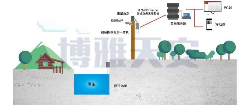 网络1.jfif